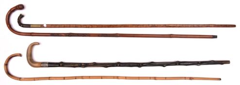 4 slender walking sticks; knobbly wood with horn handle and embossed silver (HM very worn) band;