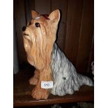 A Beswick fireside Yorkshire Terrier 2377