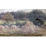 Late 19th century school, pair rural scenes, watercolours, 23cm x 15cm, signed TW Downie, glazed and