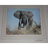 A print depicting an elephant after David Shepherd, 19cm x 16cm, signed on the window mount,