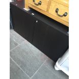 A modern two door cabinet with internal adjustable shelves.