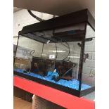 A fish tank and contents