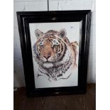 After Guy Coheleach, print of a tiger, signed in pencil lower right, 38cm x 55cm, framed and glazed.