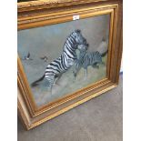 C. Arman, Zebras, modern oil on canvas, signed lower right, 60cm x 50cm, in reproduction gilt frame.