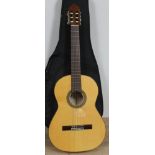 An Azahar Flamenco 31-A Spanish guitar with ARMOURdillo hard case.