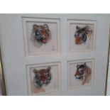 A collage of 4 watercolour tigers