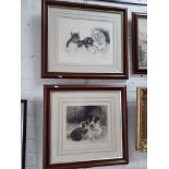 2 original signed engravings depicting cats and dogs