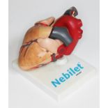 A two part rubber anatomical model of a human heart on stand inscribed 'Nebilet nebivolol', height
