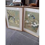 A pair of Japanese watercolours of birds and flowers, 29cm x 39cm each, framed and glazed.