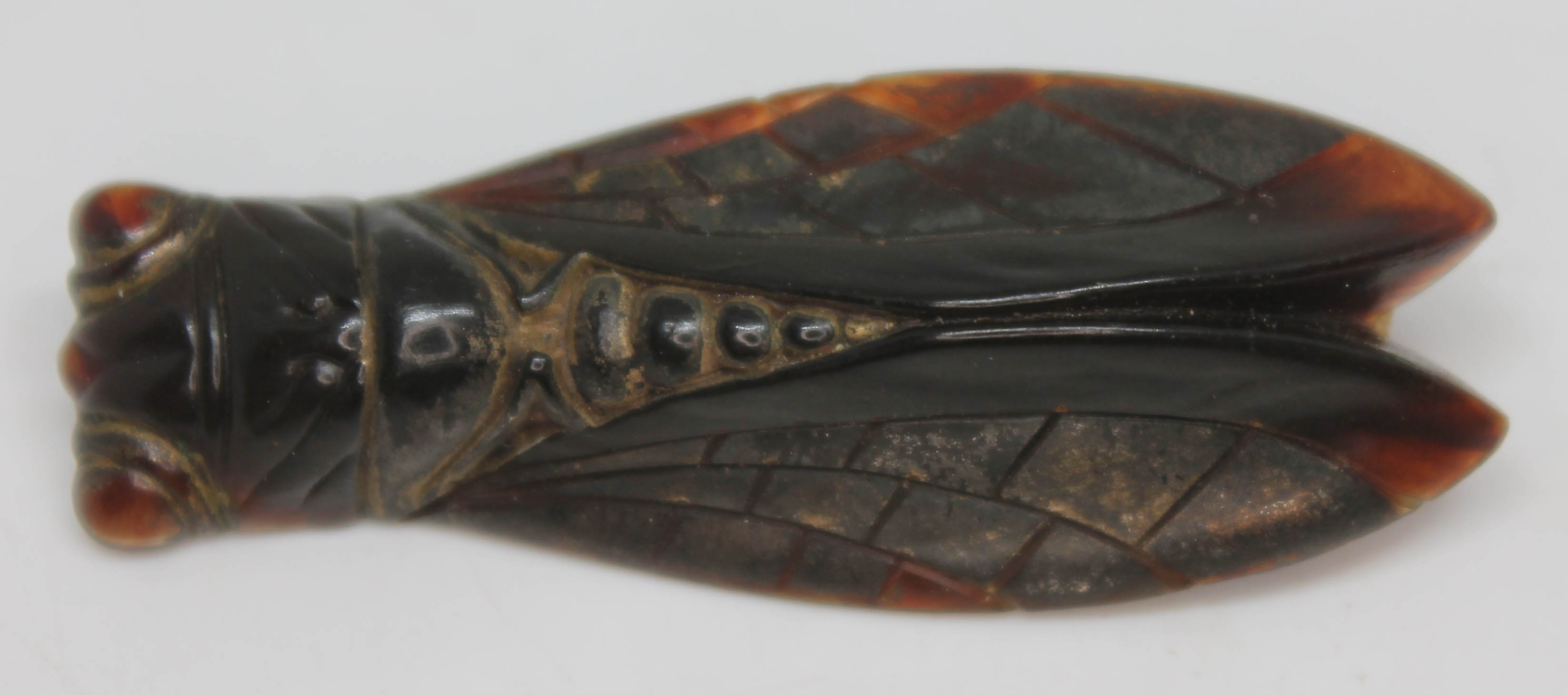 An early 20th century French pressed horn brooch formed as a locust, length 52mm.