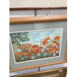 M. Beddus, poppies, oil, signed lower right, 31cm x 45cm, framed and glazed.