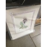 2 royal botanic garden prints