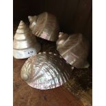 Four Mother of Pearl shells Catalogue only, live bidding available via our website. If you require