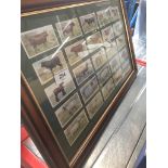 Framed cigarette cards Catalogue only, live bidding available via our website. If you require P&P