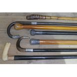 A group of seven walking sticks including one with 18ct gold collar, four silver mounted and two