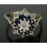 A diamond and sapphire cluster ring, band indistinctly marked, gross wt. 2.87g, size Q.