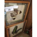3 butterflys in glazed boxes. Catalogue only, live bidding available via our website. Please note if