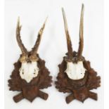 Two pairs of antlers, each mounted on Black Forest carved wooden shields.