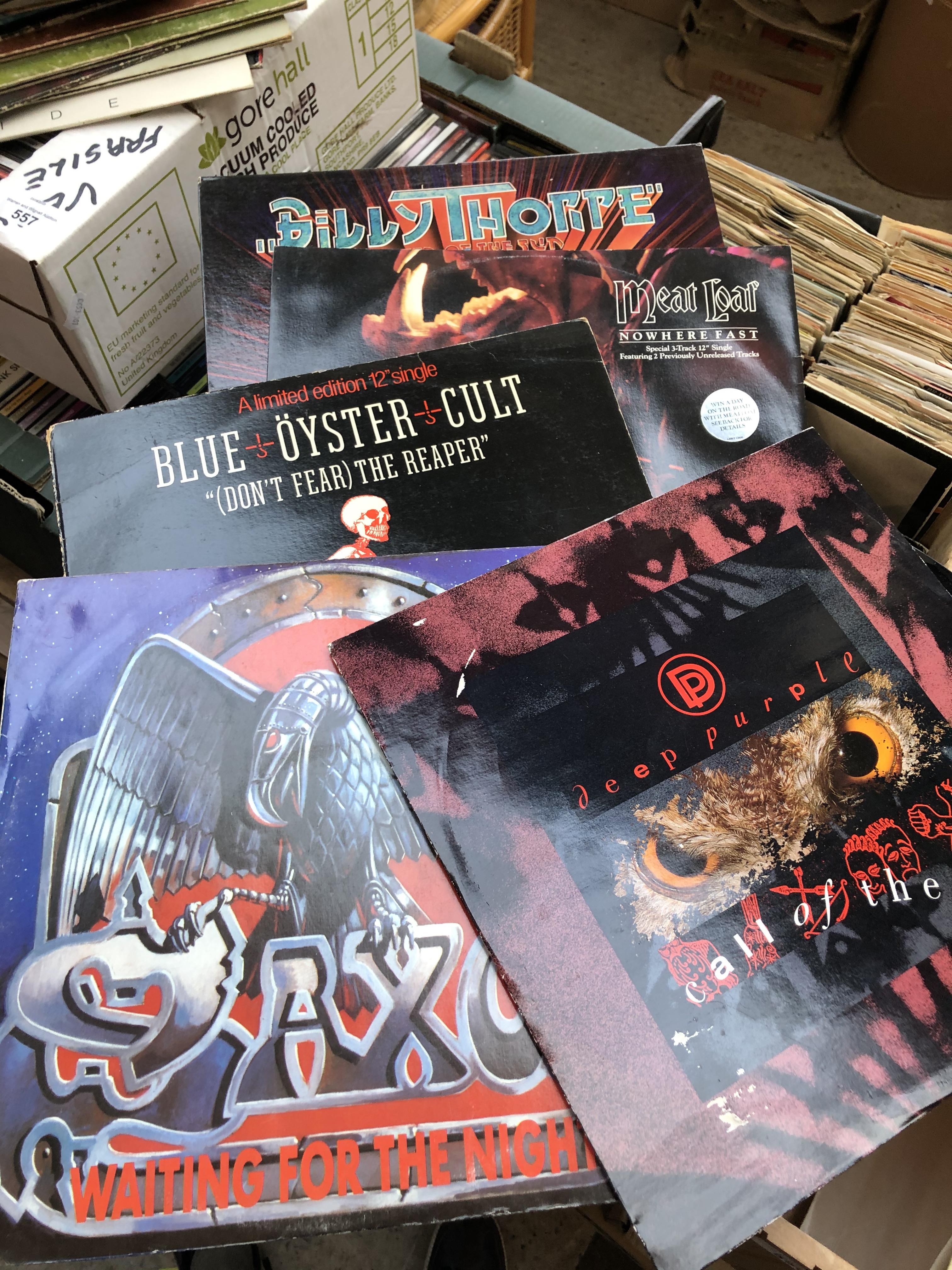 A collection of heavy metal/rock records Catalogue only, live bidding available via our website. - Image 13 of 13