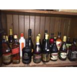 A collection of 16 bottles of various spirits including brandy, whisky, port, etc Catalogue only,