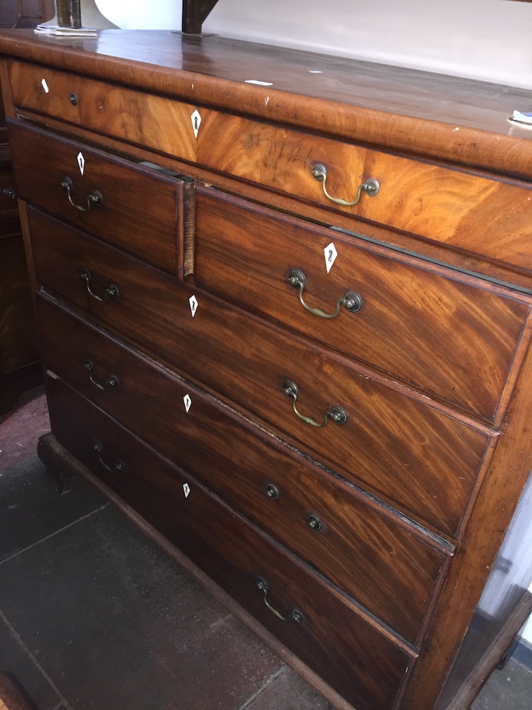 A mahogany scotch chest of drawers with brass swan neck handles on bracket feet Catalogue only, live