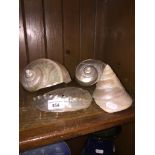 Four Mother of Pearl shells Catalogue only, live bidding available via our website. Please note we