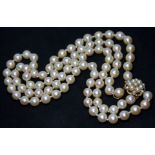 A two strand cultured pearl choker, the clasp marked '9ct', the pearls approx. 7mm diam. each,