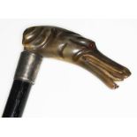 An ebonised walking cane with pressed horn handle formed as a dog's head and hallmarked silver