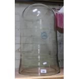 A glass bell dome, height approx 23 inches, diameter at base appros 12.5 inches. Sticker on glass