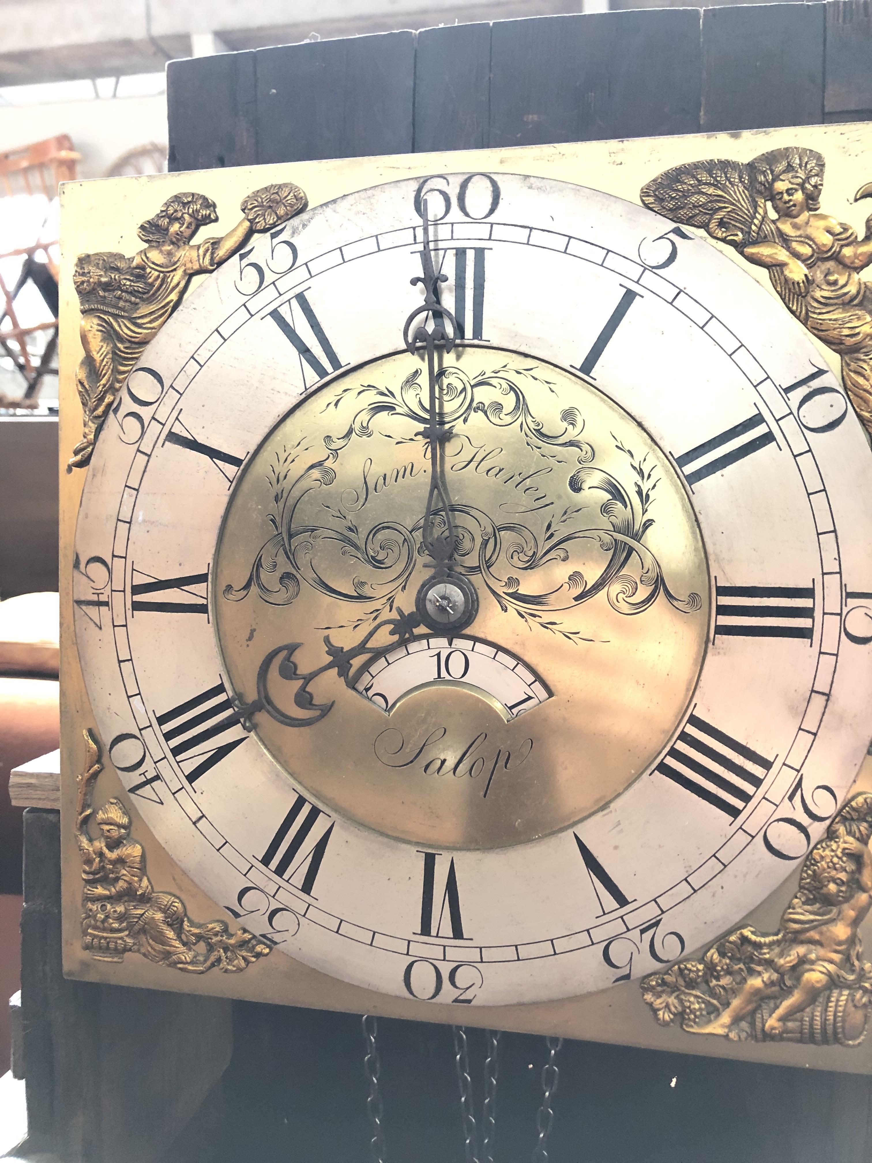 A Sam Harley - Salop, mahogany long case clock with brass dial - with weights, chains, pendulum - Bild 5 aus 13