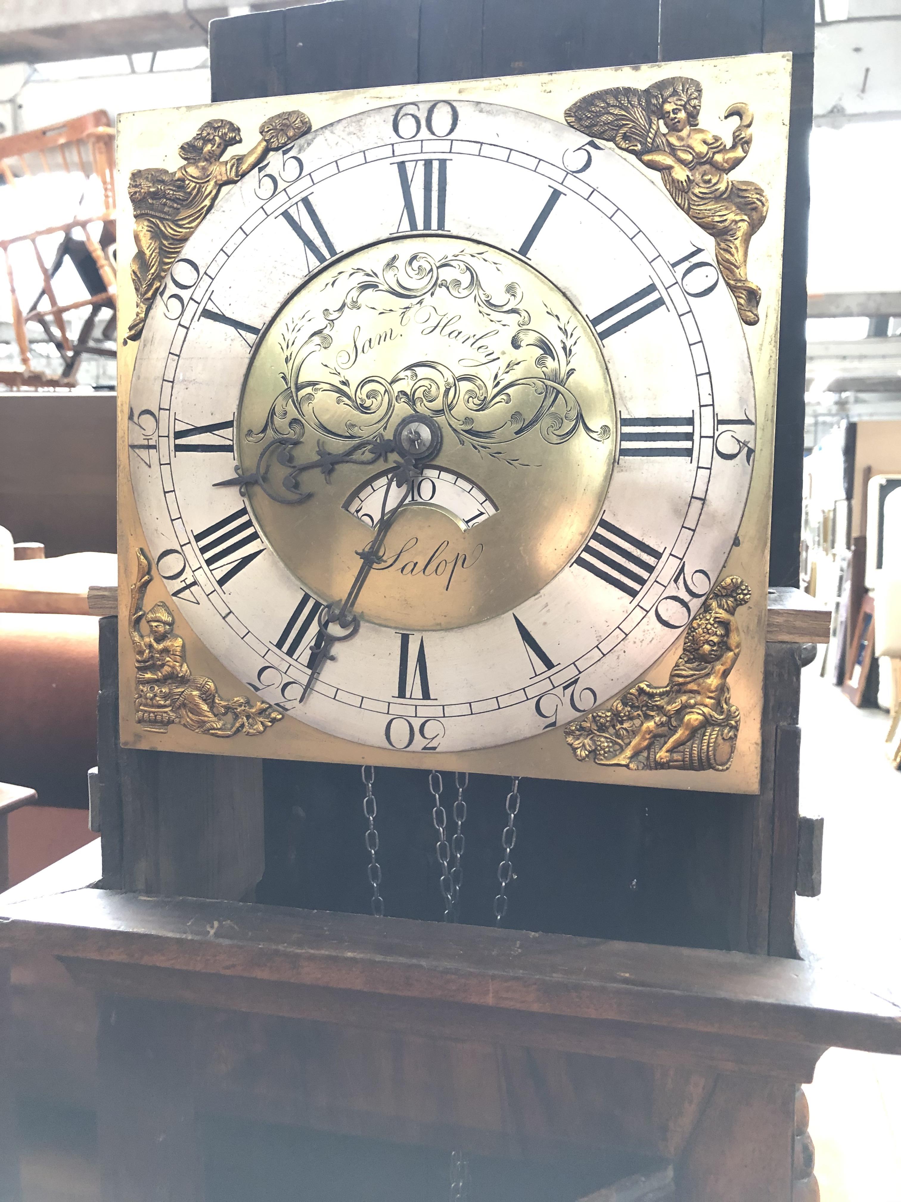 A Sam Harley - Salop, mahogany long case clock with brass dial - with weights, chains, pendulum - Bild 12 aus 13