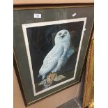 A signed limited edition Barry Driscoll "Snowy Owl", framed and glazed. Please note, lots 1-1000 are