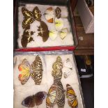 A tin of butterflies Please note, lots 1-1000 are not available for live bidding on the-saleroom.