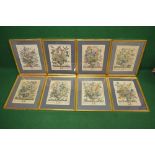 Group of eight coloured prints of floral still life each having a key to each flower,