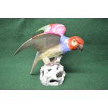 Spode Copelands china figure of a Macaw on a tree formed base and having a green back stamp to