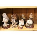 Collection of Owl models to include Border Fine Arts with wooden stands