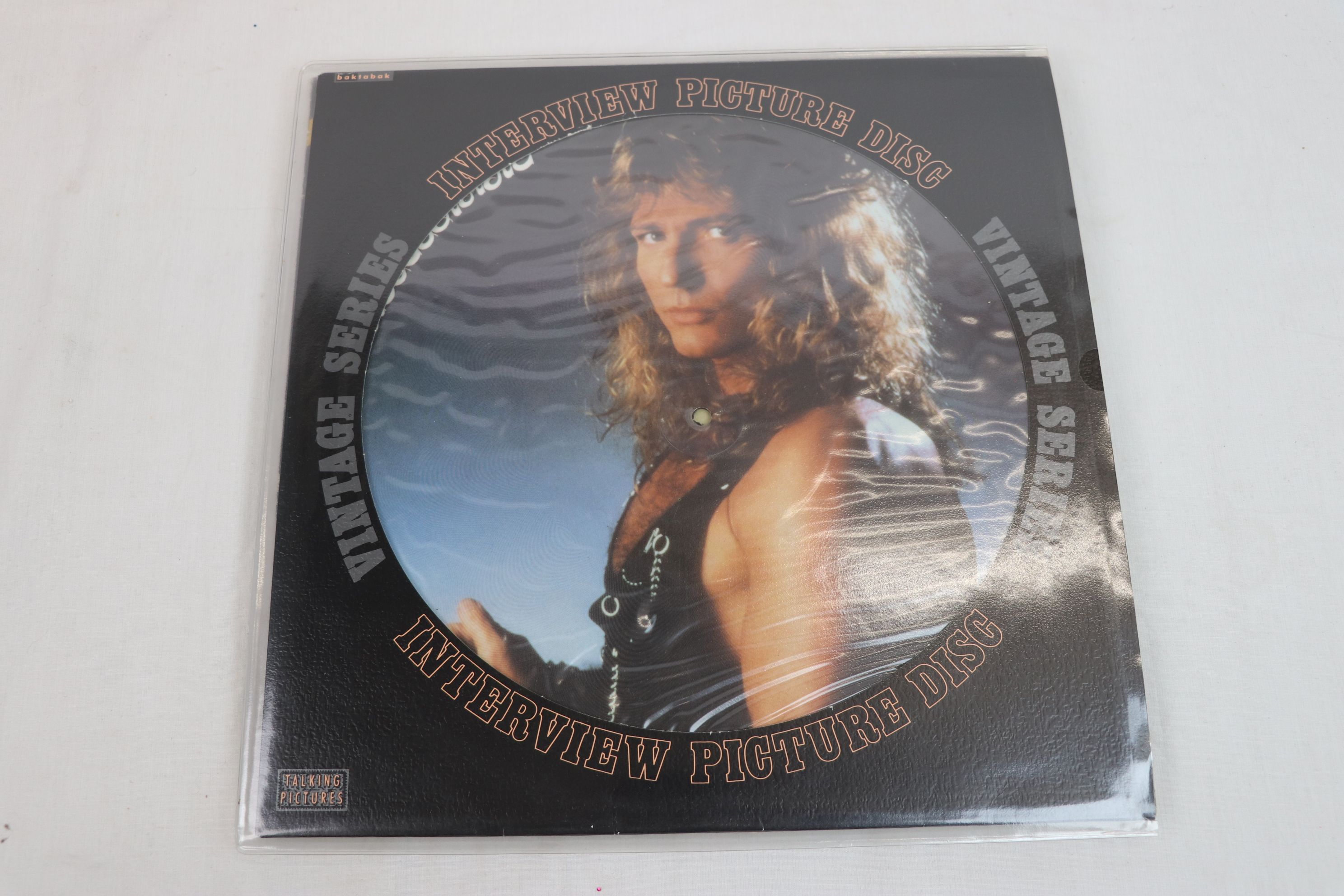 Vinyl - Collection of 11 x Whitesnake vinyl Records to include Now You're Gone shaped picture disc - Image 10 of 13