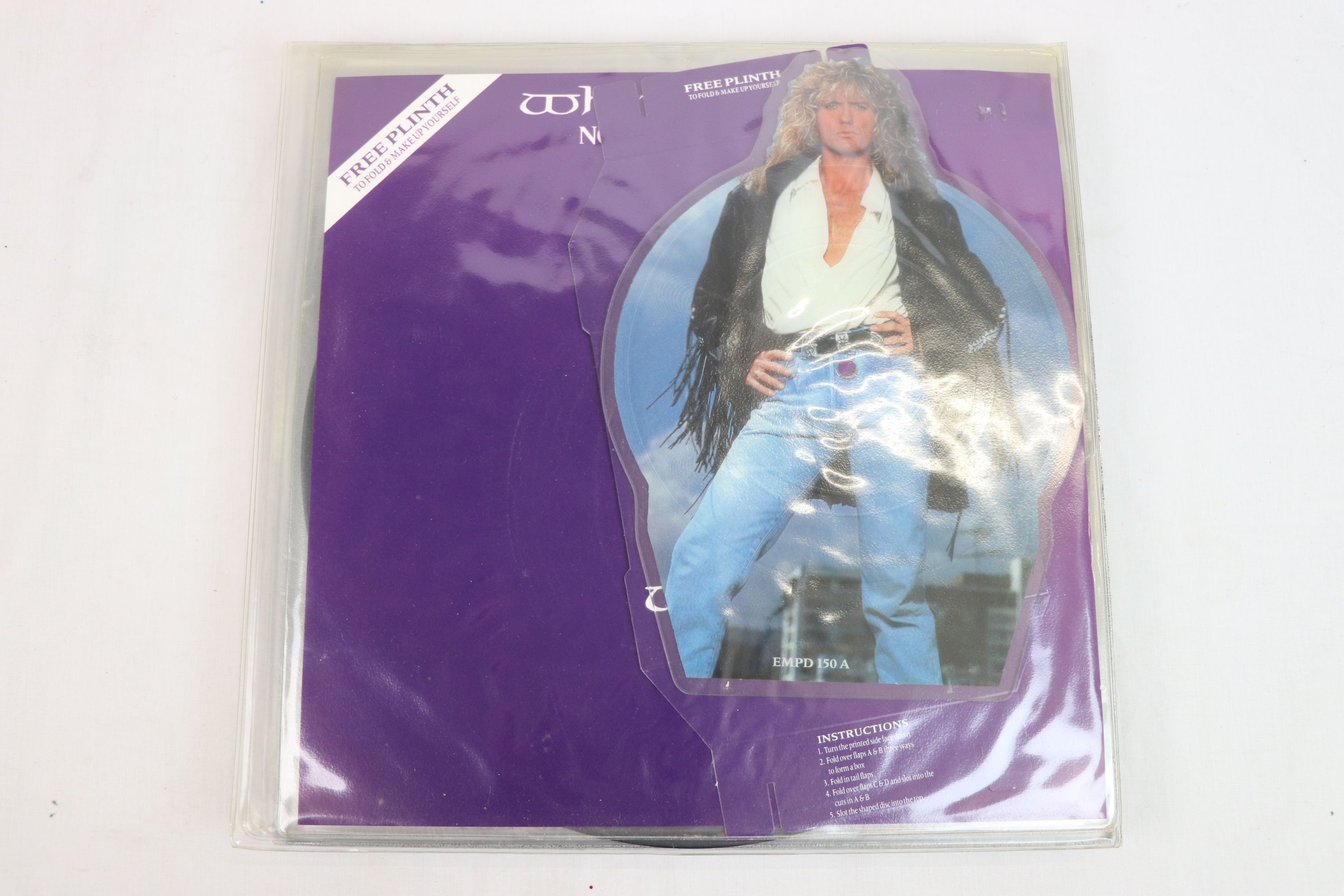 Vinyl - Collection of 11 x Whitesnake vinyl Records to include Now You're Gone shaped picture disc - Image 3 of 13