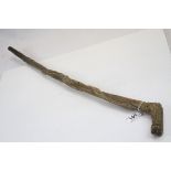 Early 20th century Hard Carved Walking Stick, the handle in the form of a Locus / Cricket with a