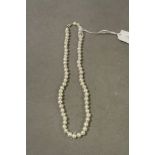 Freshwater pearl necklace with CZ spacers and silver clasp