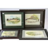 Four chromolithograph studies of fish on river banks