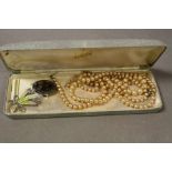 Lotus similated Pearl necklace with box plus another & two Costume jewellery Brooches