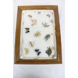 Display case containing vintage and modern brooches including silver & enamel butterfly, bird, bee,