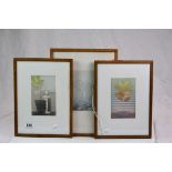*Martin Wane, three framed limited edition coloured prints, Plant 1, Plant 2 & Tree 2, signed and