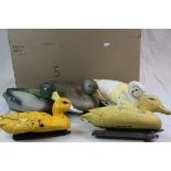 Seven plastic decoy ducks