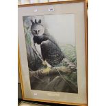 *Limited edition framed 20th century print of a harpy eagle ***Please note that VAT is applicable to