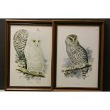 Pair of Edward Lear framed prints of a snowy and barred owl
