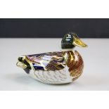 Royal Crown Derby mallard duck
