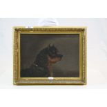 Gilt Framed oil on canvas of a Terrier type Dog, image approx 21.5 x 29cm