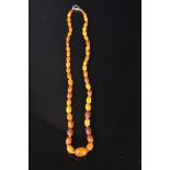 Graduating bead butterscotch amber necklace